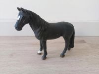 Schleich Tennessee Walker Wallach 13832 Münster (Westfalen) - Handorf Vorschau