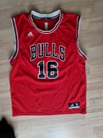 Adidas Bulls Shirt gr L Neuwertig original Wandsbek - Hamburg Volksdorf Vorschau