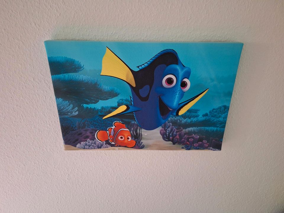 Findet Nemo Bilder Wandbild Leinwand 60x40 u. 35x25cm in Dresden
