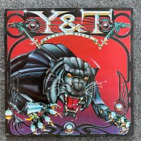 Y & T „Black Tiger“ Metal LP Original TOP Zustand Niedersachsen - Oldenburg Vorschau