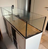 IKEA Kallax Aquarium 153x39x30cm (LxTxH) 180l GEBRAUCHT Hessen - Mainhausen Vorschau