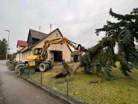 Baumfällung Bäume fällen Wurzelstockentfernung Baumstumpf Hecke Baden-Württemberg - Leinzell Vorschau