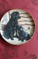 Sammelteller Labrador Franklin Mint Nordrhein-Westfalen - Hamm Vorschau