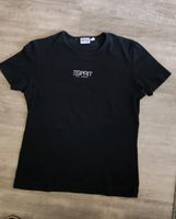 681- Esprit T-Shirt Gr. L Schwerin - Großer Dreesch Vorschau