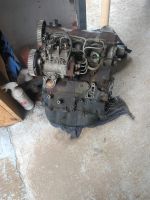 VW Diesel Motor 1,6D JK Schleswig-Holstein - Wrist Vorschau