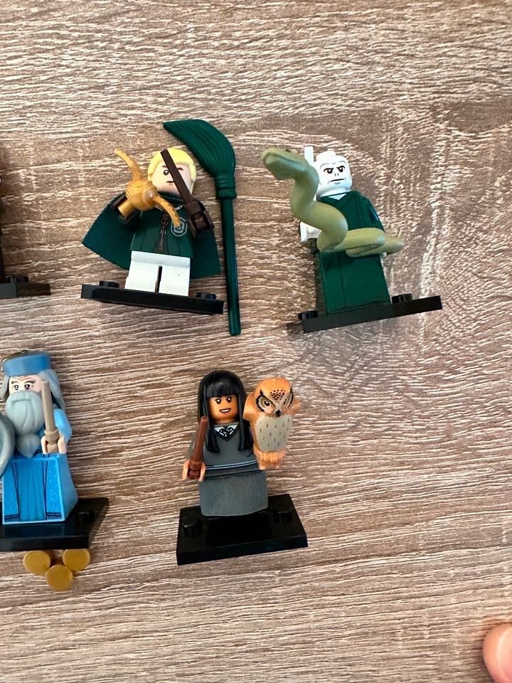 Lego Harry Potter, Disney Minifiguren in Dresden