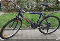 Mountainbike Marke Nishiki Sachsen - Großharthau-Seeligstadt Vorschau