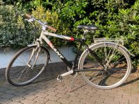 26 Zoll Giant Tourenrad Nordrhein-Westfalen - Porta Westfalica Vorschau