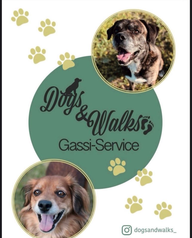 Gassi gehen, Hundebeschäftigung, Social Walks, Gassi Service in Ritterhude