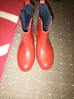 Damen Gummistiefel Tommy Hilfiger Größe 38 Findorff - Findorff-Bürgerweide Vorschau