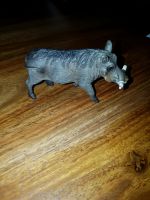 Schleich Spielfigur Warzenschwein Schleswig-Holstein - Bad Oldesloe Vorschau