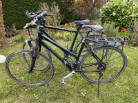 2 Stevens Fahrräder Damen und  Herren Nordrhein-Westfalen - Billerbeck Vorschau