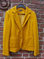 Blazer Gr 38 Basler Samtvelour Gelb neuwertig Nordrhein-Westfalen - Borken Vorschau