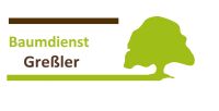 Baumpflege Fällung Problemfällung Holz Baum Thüringen - Plaue Vorschau