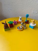 Lego Duplo 123  10838 Haustiere Katze Hund Hase Bremen - Schwachhausen Vorschau