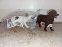 2 Schleich Tiere Katze und Hund neu zum tauschen Mecklenburg-Vorpommern - Neuburg (Nordwestmecklenburg) Vorschau