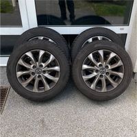 Originale Mazda 3 Felgen 205 60 R16 96H M+S Pirelli Winterreifen Wandsbek - Hamburg Rahlstedt Vorschau