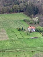 Landwirtschaftliche Fläche zum Verpachten Baden-Württemberg - Bühlertal Vorschau