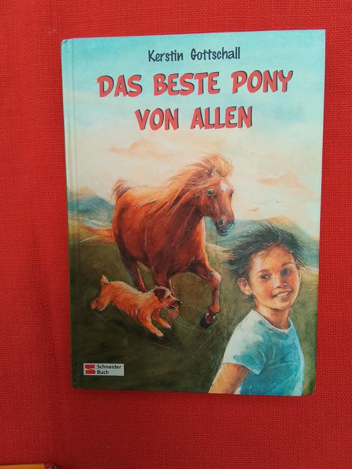 Kinderpferdebücher Pferdebuch Pferdekinderbuch in Lindau