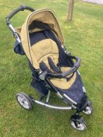 Moon Flac Buggy Kinderwagen Sportwagen Sachsen - Elstra Vorschau