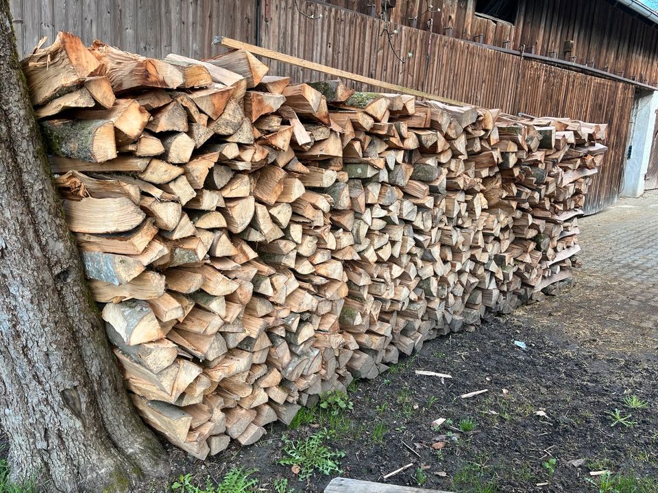 Brennholz Buche gespalten, 1m in Grattersdorf