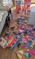 Riesige Barbie-Sammlung - Haus* Auto* Pferd*Waschsalon *Barbies Hessen - Hohenstein Vorschau