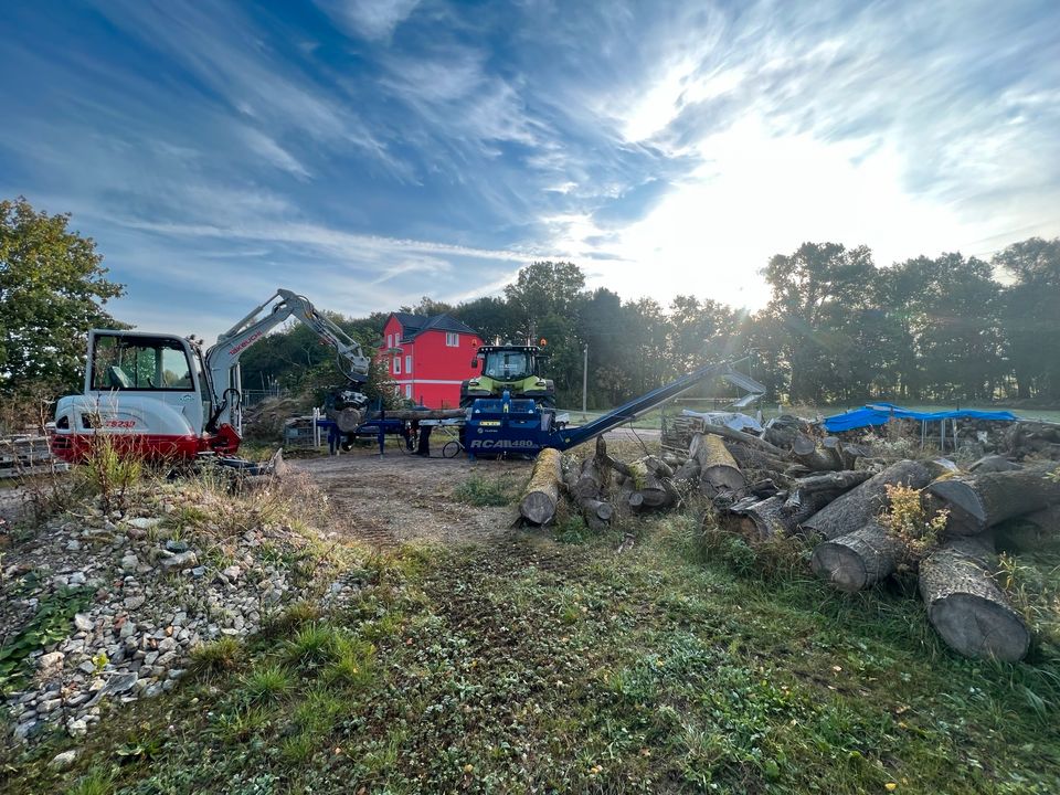 Hartholz Brennholz Kaminholz Holz SOFORT Lohnspalten Holzspalten in Weiden b Weimar Thür