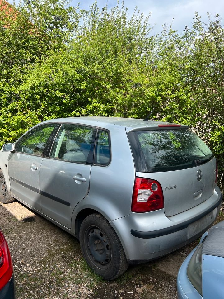 Vw Polo 1.9TDI in Altenburg