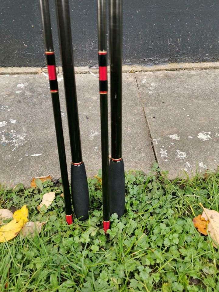 2× Sportex handbuilt Carp Karpfenruten 12ft 3lbs Carp Rods Angeln in Bad Bentheim