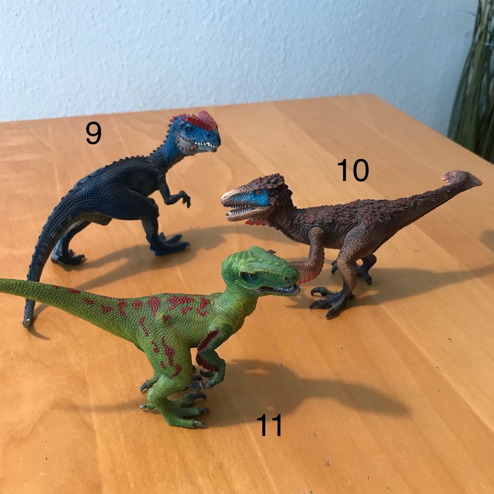 Schleich Dinosaurier mittelgroß in Bruchköbel