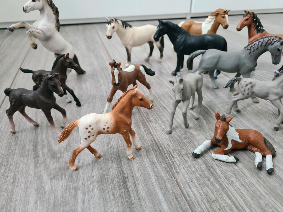 Schleich Pferde Set 15 Pferde Hengst Stute Fohlen in Ahrensfelde