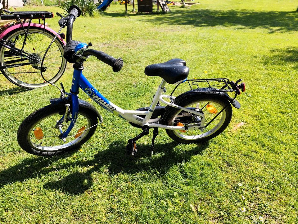 Kinder Fahrrad in Wusterwitz