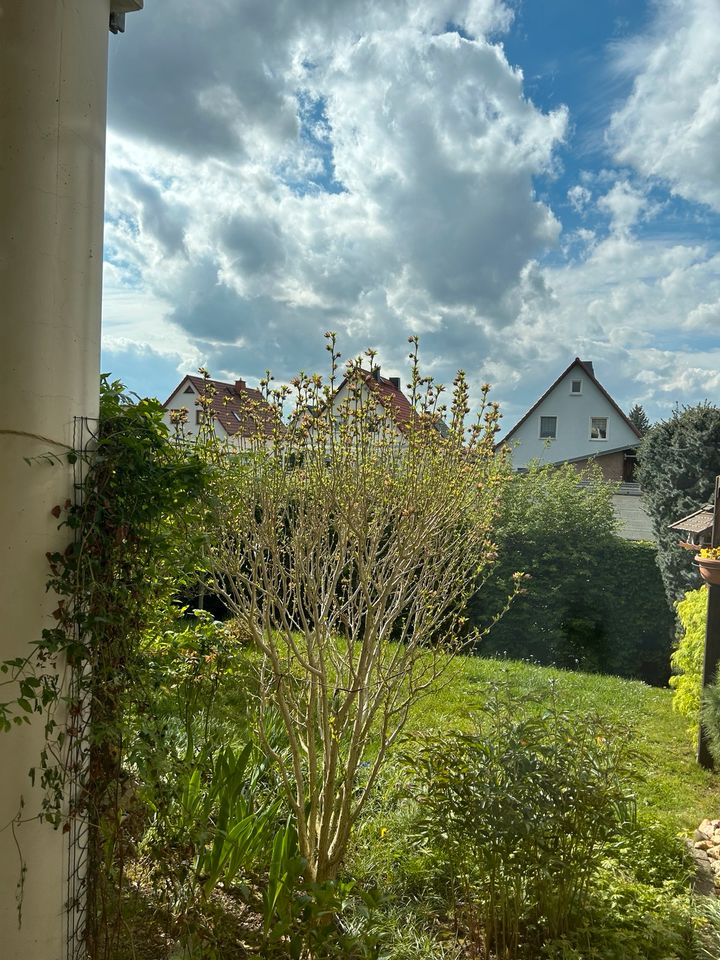 Wohnung mit Terrasse und Garten in Zwickau