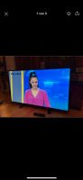 Philips 49PUK4900/12 4K UHD fernseher 125 cm 49 Zoll TV Thüringen - Hildburghausen Vorschau