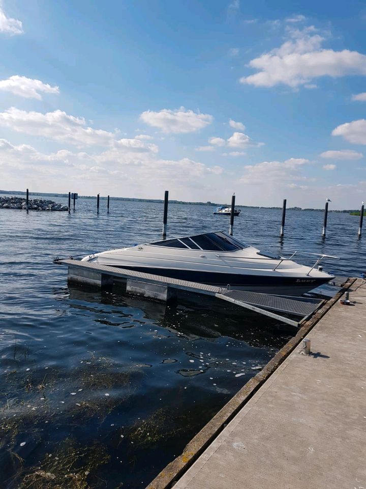 Bayliner 2o52 ls in Demmin