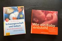 GU Ratgeber Schwangerschaft Geburt Peter Tallack Baby Buch Baden-Württemberg - Steinach Baden Vorschau