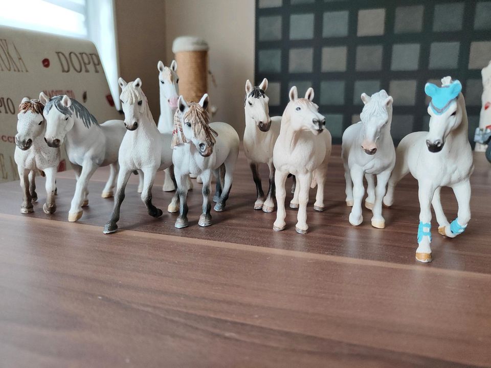 Schleich Zubehör in Sarstedt