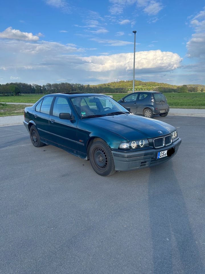 BMW e36 316i in Osnabrück