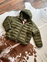 Steppjacke T. Hilfiger Gr. XL Sachsen - Bernsdorf Vorschau