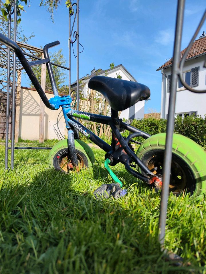 Mini BMX Mini Main Rocker in Reutlingen