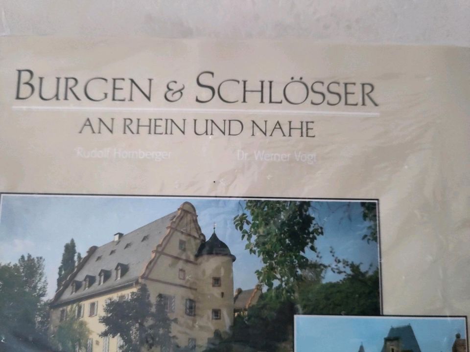 Buch Burgen und Schlösser an Rhein und Nahe in Bingen
