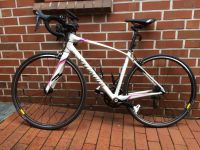 Rennrad specialized Dolce Comp 2016 Essen - Essen-Stadtmitte Vorschau