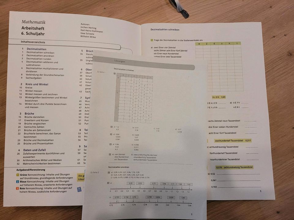 Mathematik Arbeitsheft 6. Klasse in Gießen