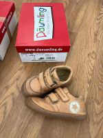 Däumling Halbschuhe Schuhe Lederschuhe Stern Münster (Westfalen) - Gremmendorf Vorschau