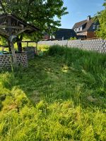 Ziegen als natürlichen Rasenmäher gesucht Nordrhein-Westfalen - Marl Vorschau