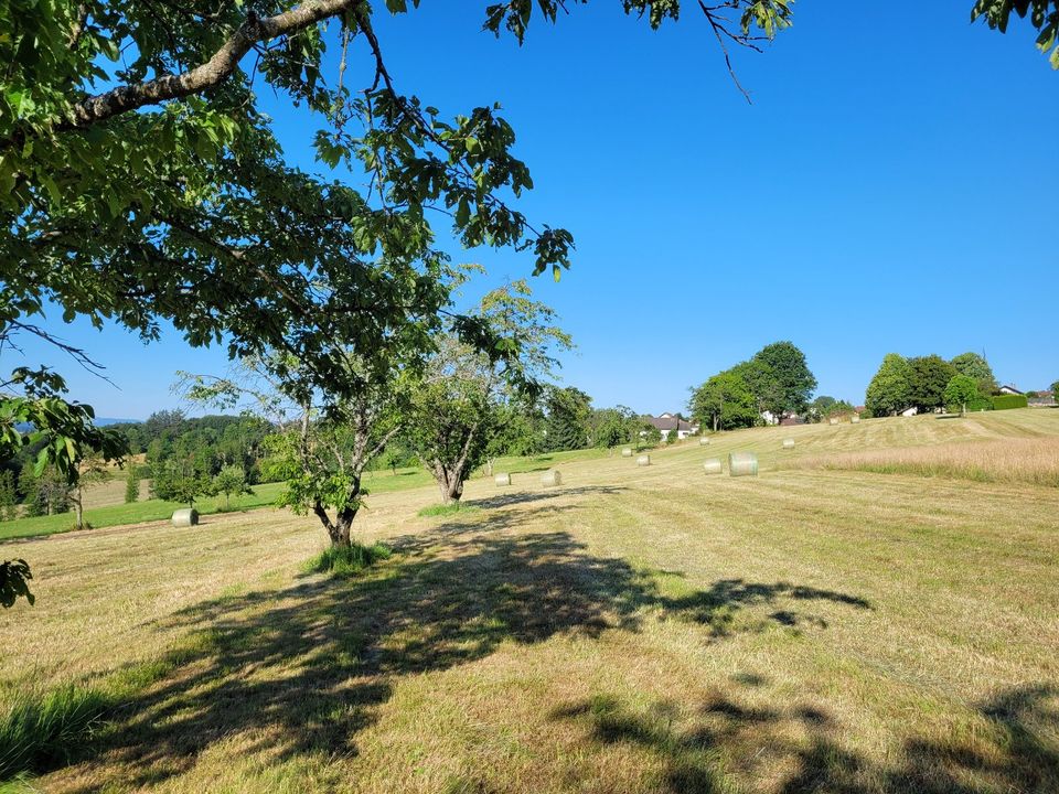 Heurundballen in Bad Säckingen