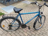 Herren Fahrrad 26 Zoll Brandenburg - Kolkwitz Vorschau