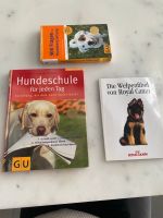 Verschiedene Hundebücher Nordrhein-Westfalen - Wadersloh Vorschau