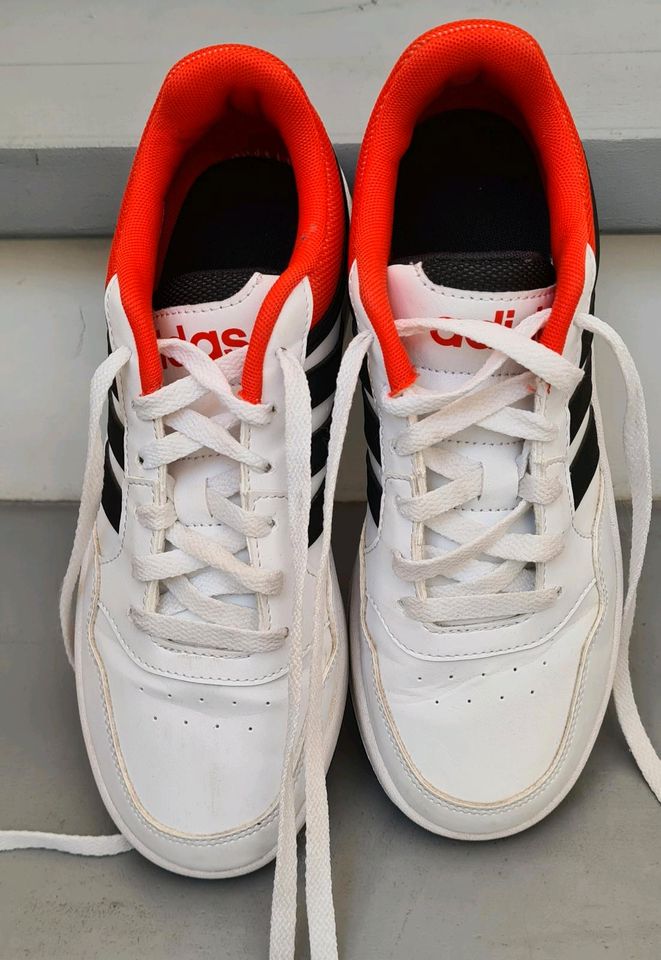 Adidas Turnschuhe sneaker basketball Schuhe weiß gr 37,5 wie neu in Groß-Umstadt