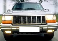 Jeep Grand Cherokee ZJ Limited LX 5.9 Kühlergrill Baden-Württemberg - Weil am Rhein Vorschau